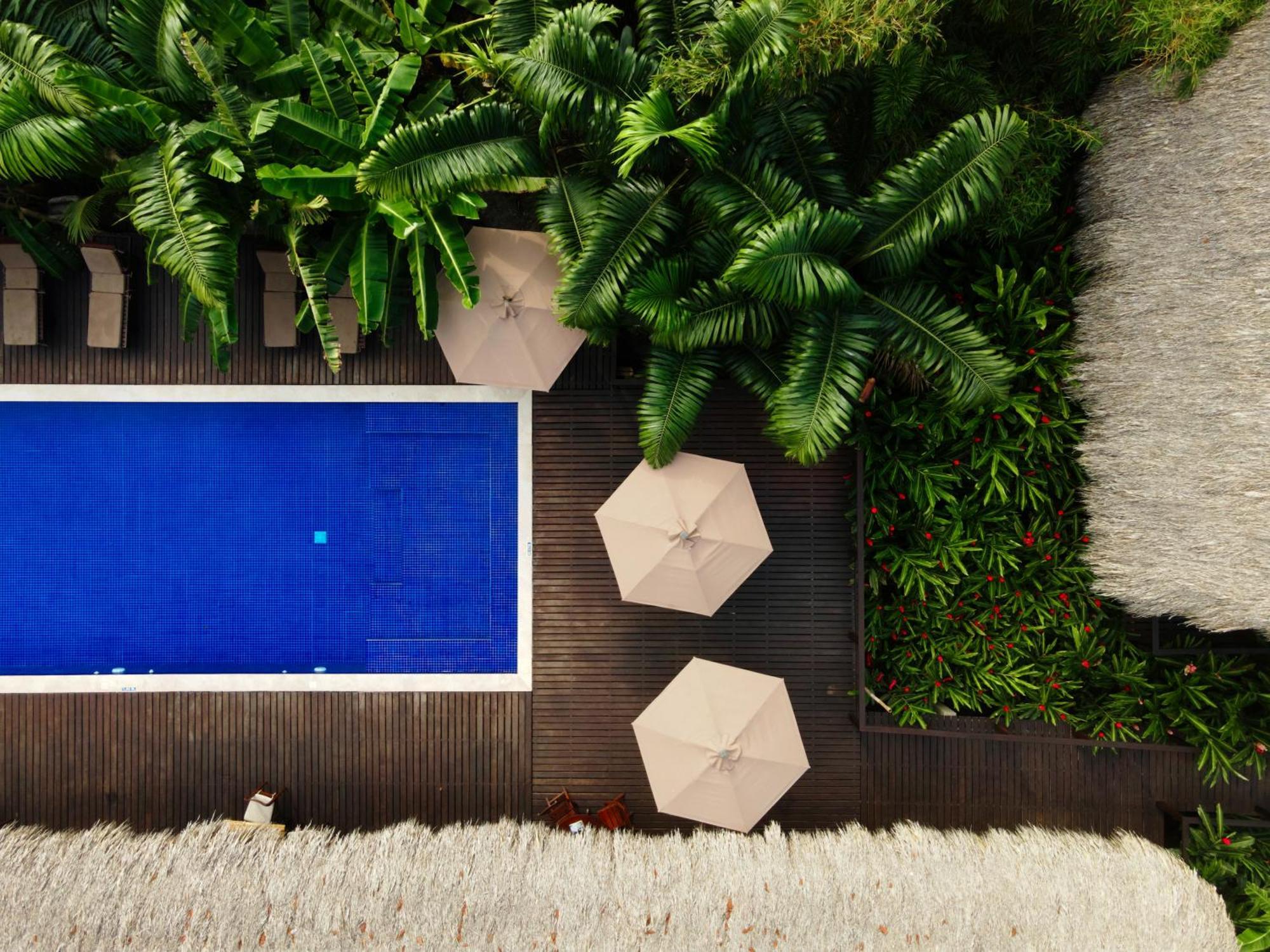 Casa Bambu Tayrona, 로스나란조스 외부 사진