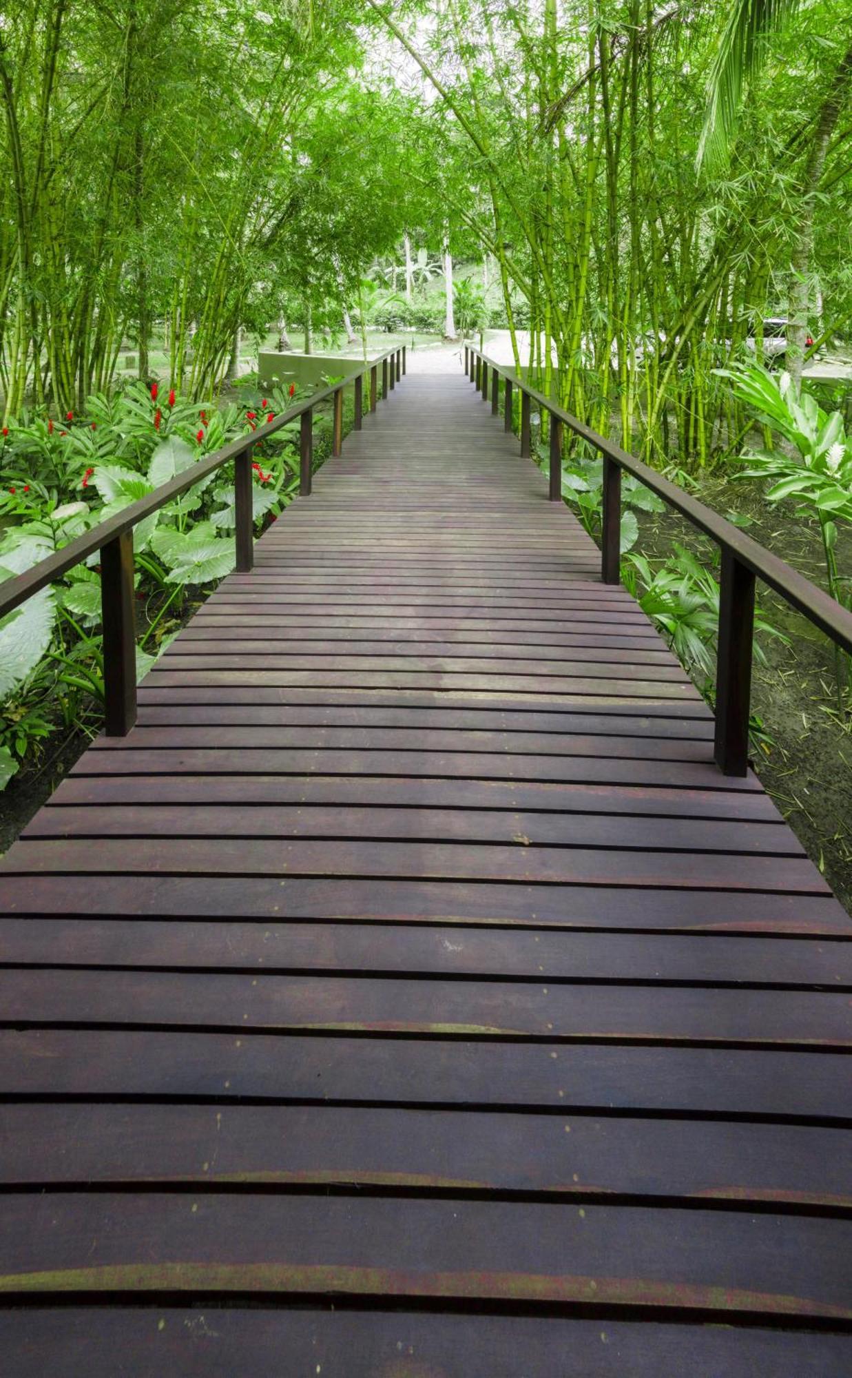 Casa Bambu Tayrona, 로스나란조스 외부 사진