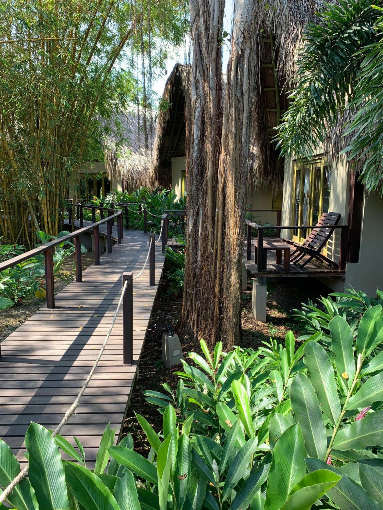 Casa Bambu Tayrona, 로스나란조스 외부 사진